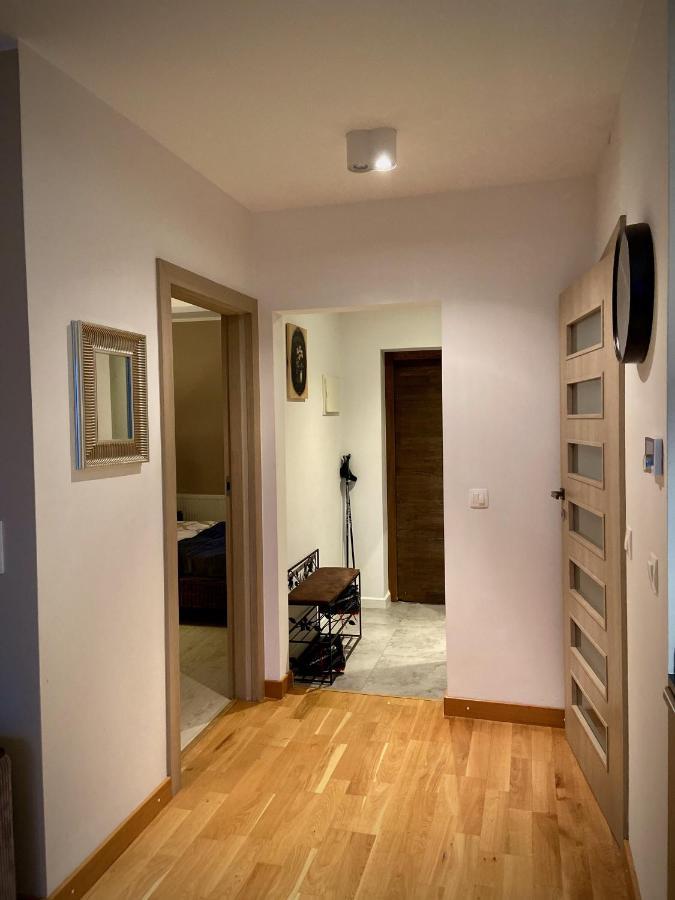 Apartament Grafitowy Willa Laser Sklářská Poruba Exteriér fotografie